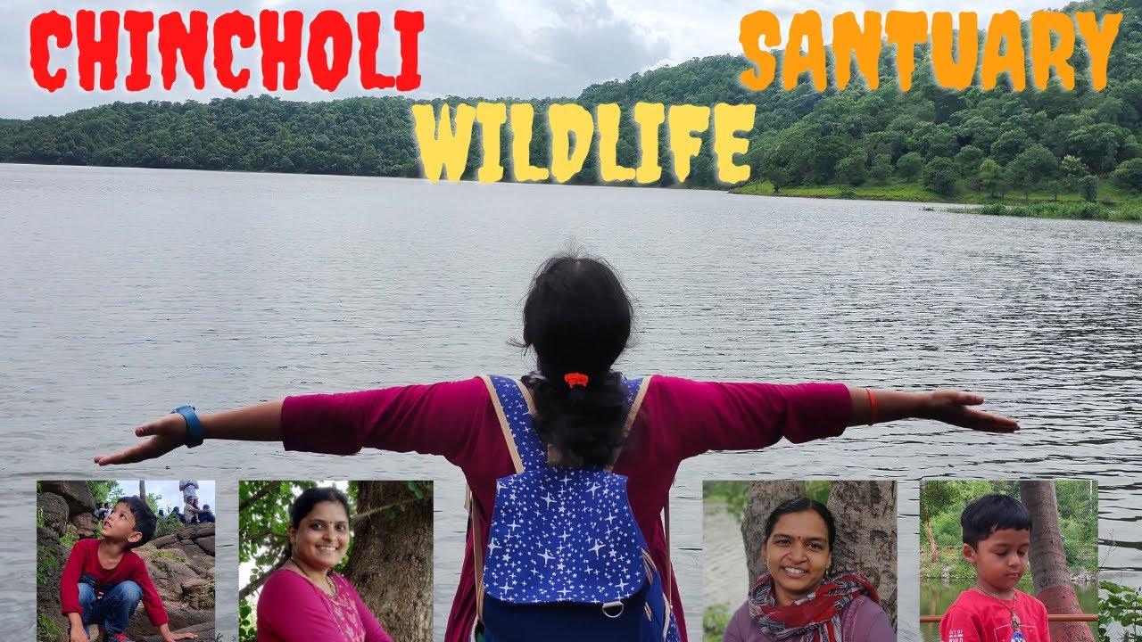 Chincholi Wildlife Sanctuary | Telugu | Hyderabad | Weekend Gateway | Tourist places near hyderabad
