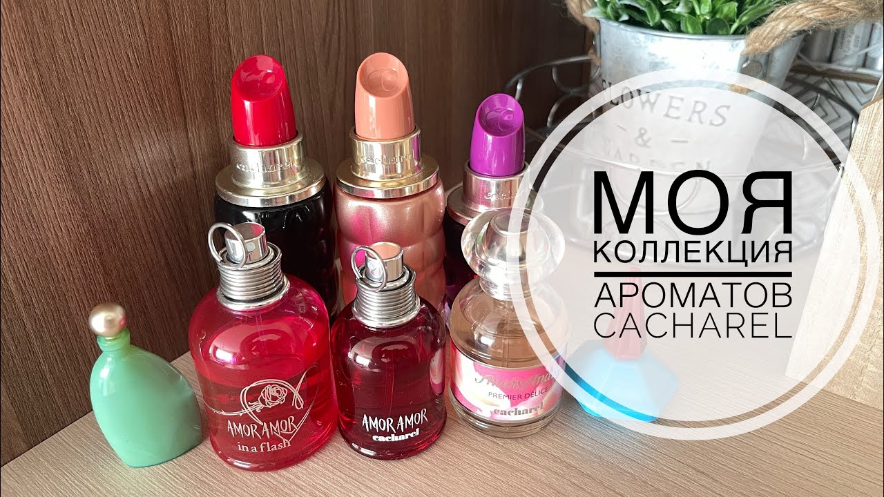 МОЯ КОЛЛЕКЦИЯ АРОМАТОВ  CACHAREL/САМОЕ ЛЮБИМОЕ