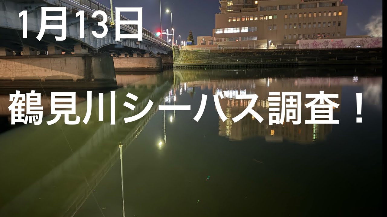 【シーバス】鶴見川シーバス調査！