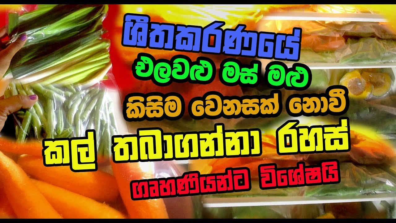 ශීතකරණයේ එලවළු මස් මළු  කිසිම වෙනසක් නොවී කල් තබාගන්නා රහස්ගෘහණියන්ට විශේෂයි