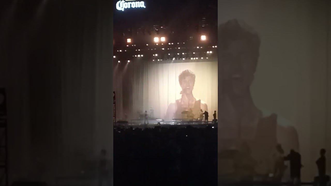 In My blood - Shawn Mendes en el Corona Capital 2024