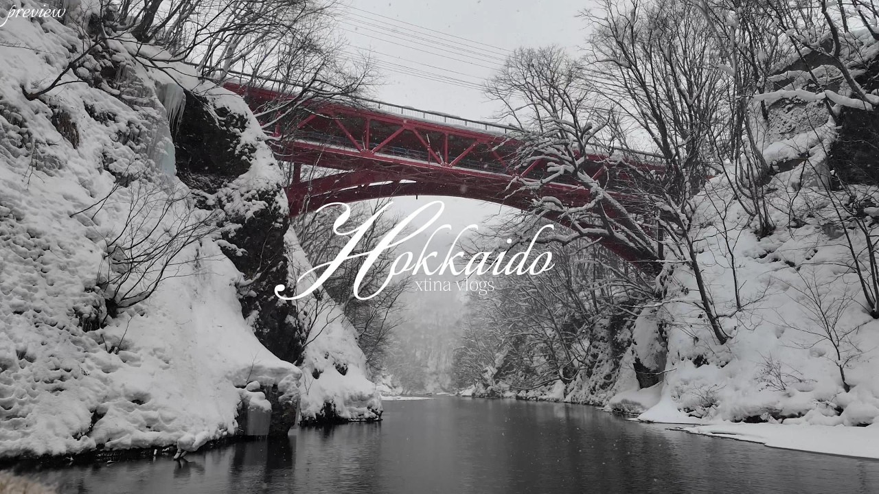 winter in hokkaido vlog ❄️