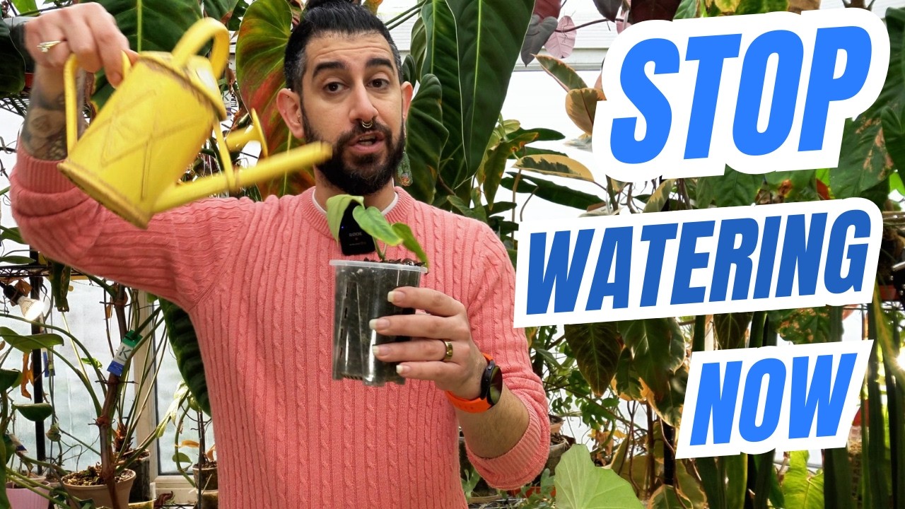 Your Plant Isn&rsquo;t Dying&hellip; You&rsquo;re Watering Wrong 🌱⚠️ Spring Mistake Explained