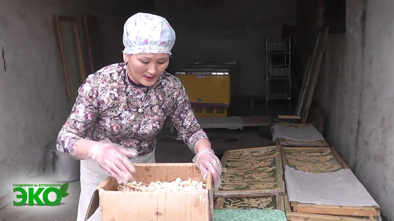 Khovd Brand - Цэвэр аарцны хорхой ааруул