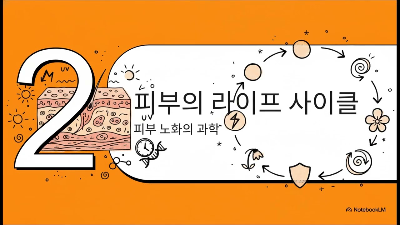 스킨케어의 새로운 시대  롱제비티 뷰티