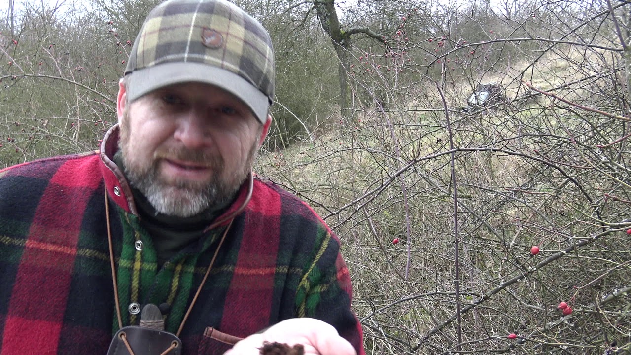 Šípková růže a její využití Bushcraft - Survival