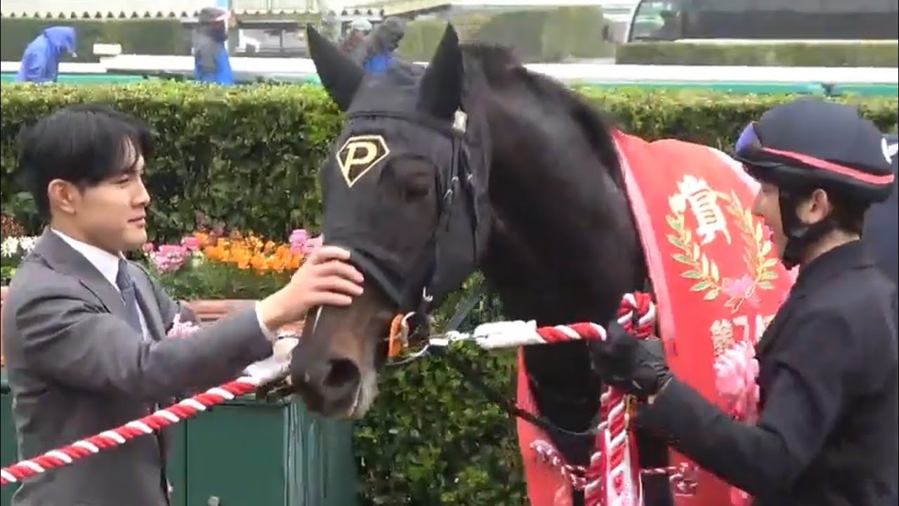 スプリングステークス　1着ピコチャンブラック号（石橋脩騎手）2025年3月16日（日）中山競馬場