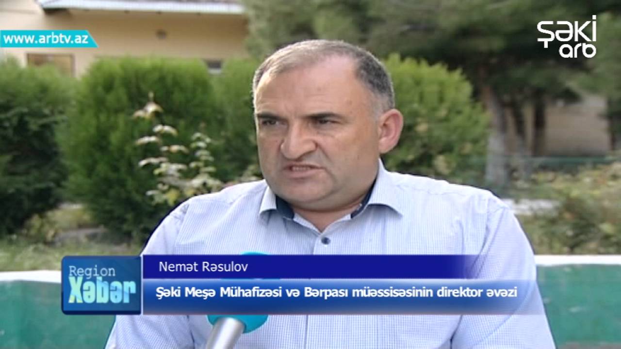 SHEKININ BAS KUNGUT KENDI ARTIQ 25 ILDIR QAZ UZUNE HESRET QALIB