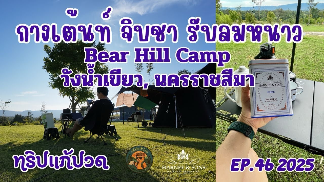 กางเต้นท์ จิบชา รับลมหนาว ที่ Bear Hill Camp วังน้ำเขียว, นครราชสีมา II ทริปแก้ปวด EP.46 