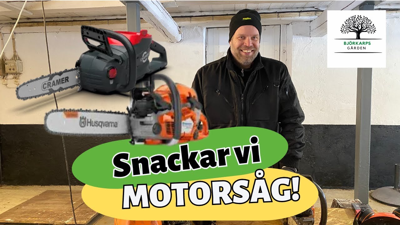 Hur filar man kedjan på motorsåg? Körkort för motorsåg? Vilka skyddskläder är bra? Favorit motorsåg?