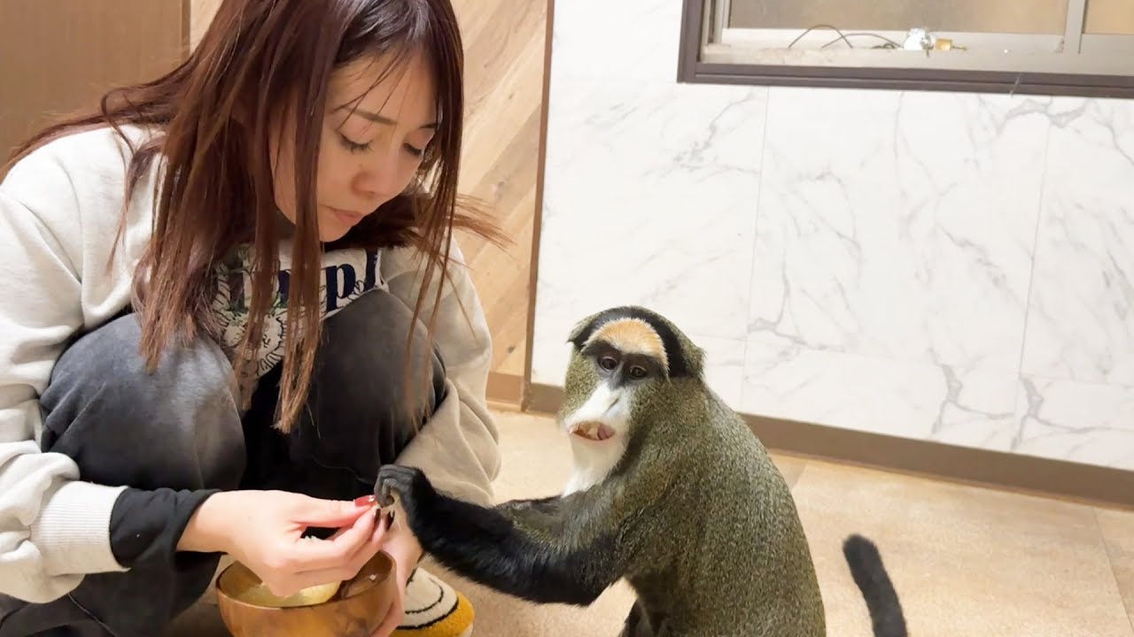 とんでもないでかい果物を動物たちに食べさせよう