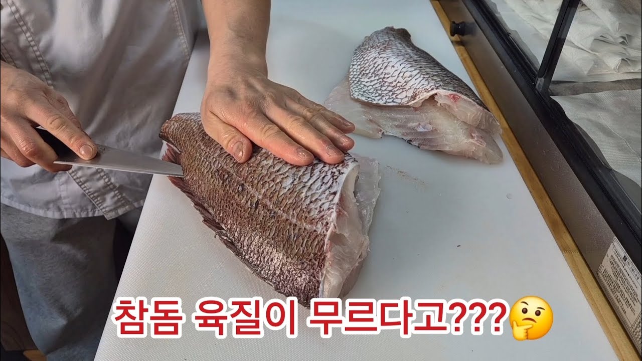 참돔 육질이 무르다고 누가 그래???🤔