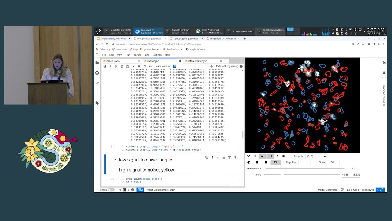 Kolar & Lewis - Ultrafast visualization of large datasets | SciPy 2023