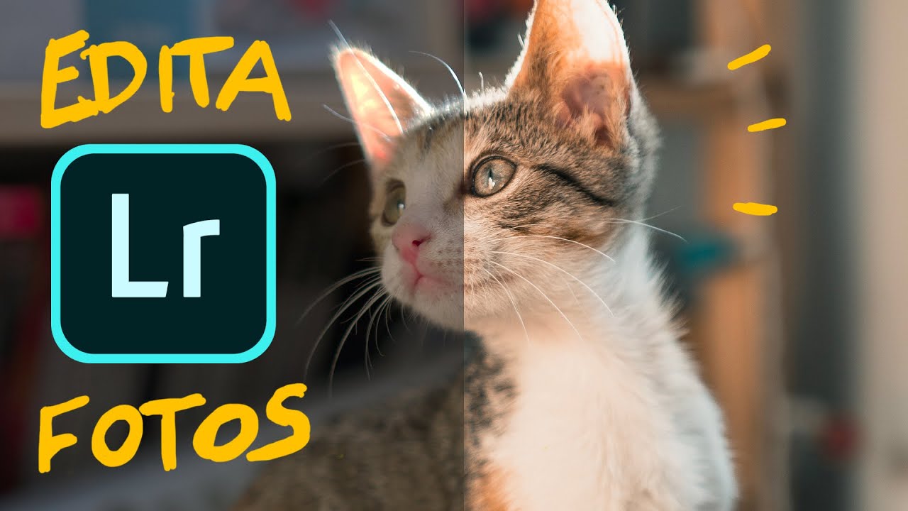 como edito mis fotos desde el MÓVIL
