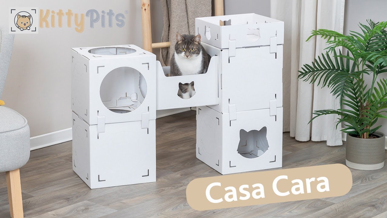 Montage du château en carton Casa Cara pour chats - Kitty Pits et TRIXIE Heimtierbedarf