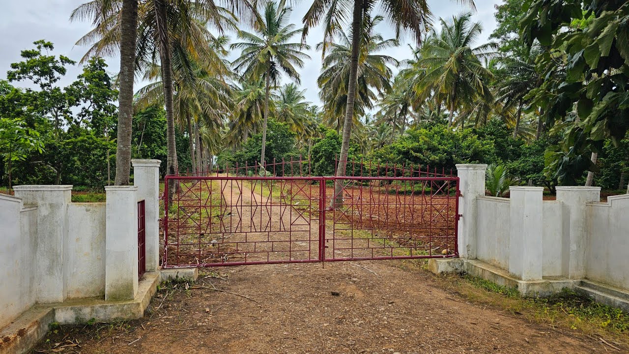 (sold out)28 acre  ಅದ್ಭುತವಾದ.ತೆಂಗು ಮಾವು ಸಪೋಟ ಮಿಶ್ರ ತೋಟ. near ಹಾಸನ. (hassan to tipturu raste)(#112)