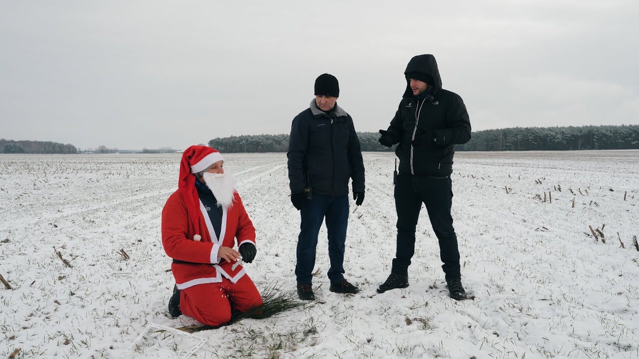 PLANY NA WIOSENNE NAWOŻENIE PSZENICY JUŻ TERAZ! - #200 nawozy nonstop