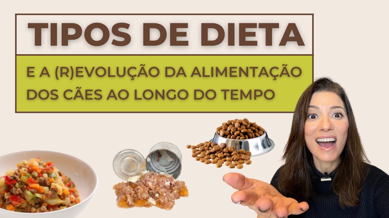 Quais são as opções de alimentação para o cachorro? Quais são os tipos de dieta para cão?