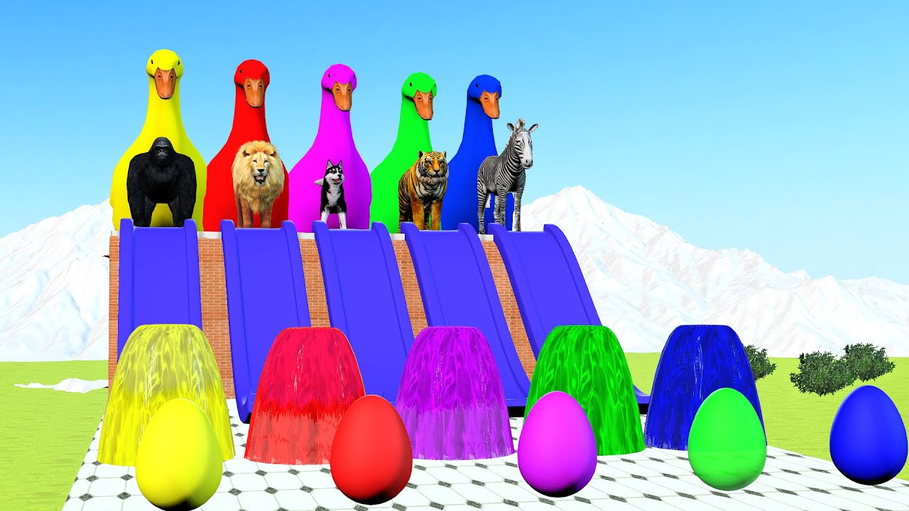 Long slidelephant e game with gorilla buffalo hippopotamus tiger   3d animal game   funny 3d animals