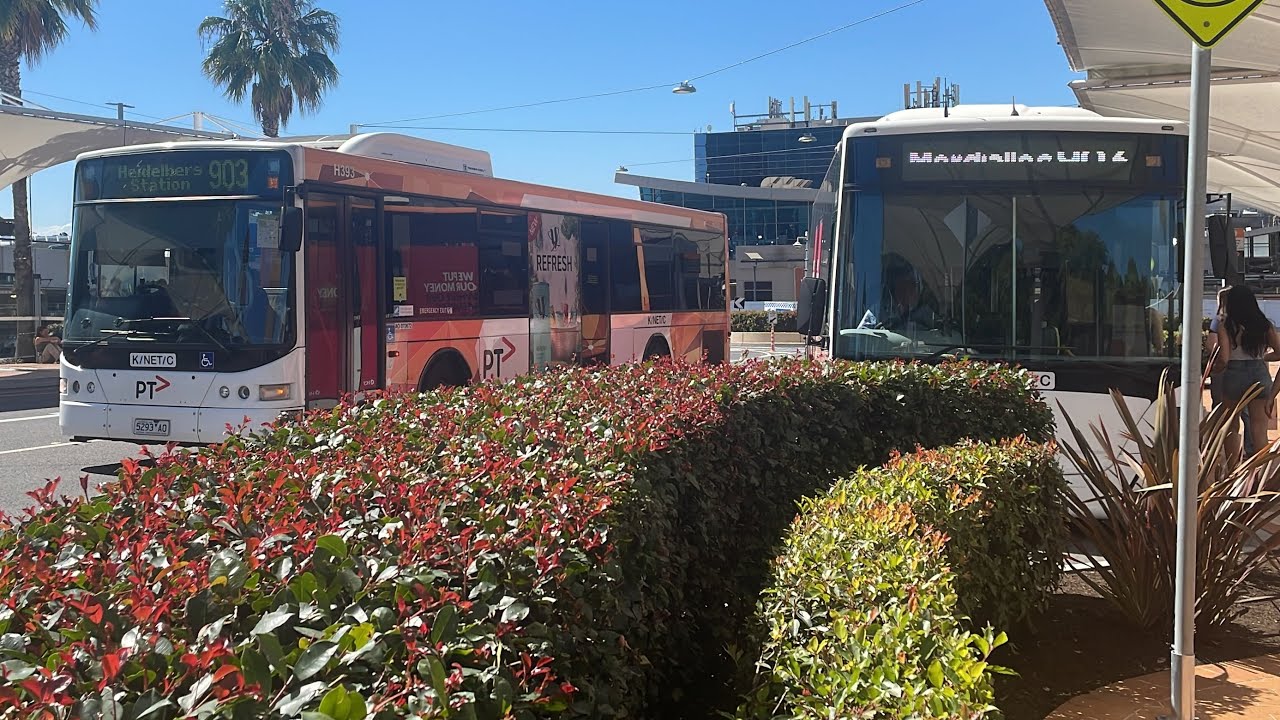 Buses At Chadstone Shopping Centre