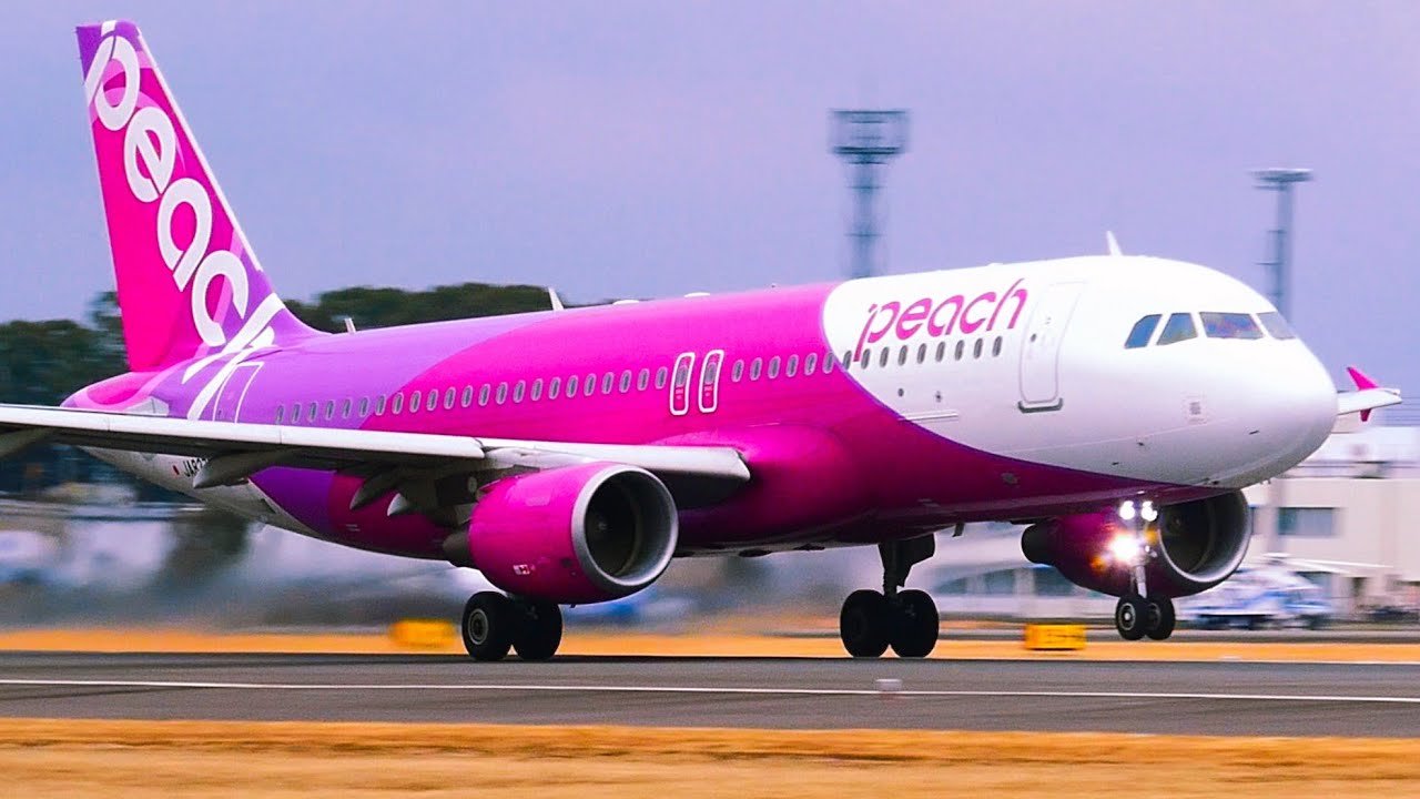 【鹿児島空港】【4K】Kagoshima Airport/plane spotting/[KOJ/RJFK] #鹿児島空港 #離着陸 #飛行機動画 1/30(日)