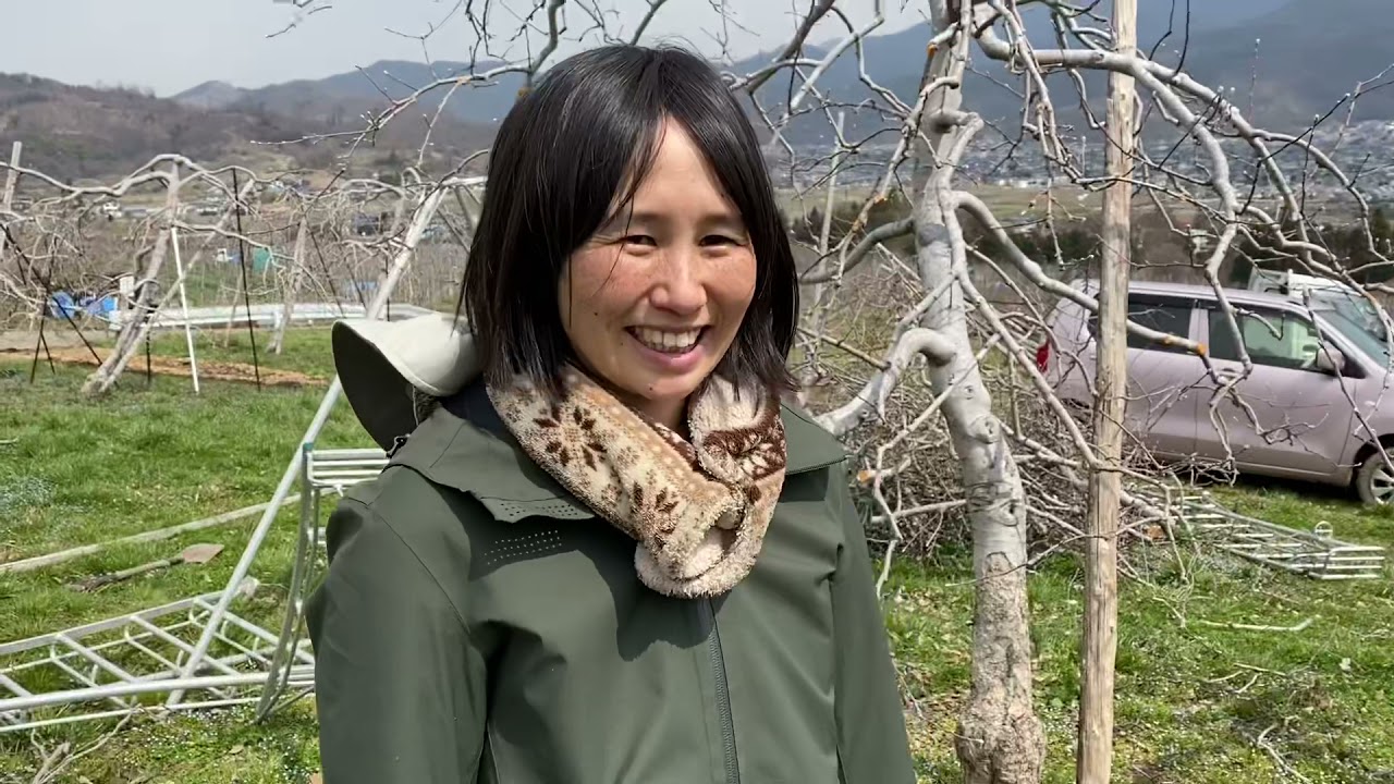 【道法スタイル経過観察】①剪定後のりんごの木（秋映、ふじ、シナノスイート、夏あかり）　2021/3/26