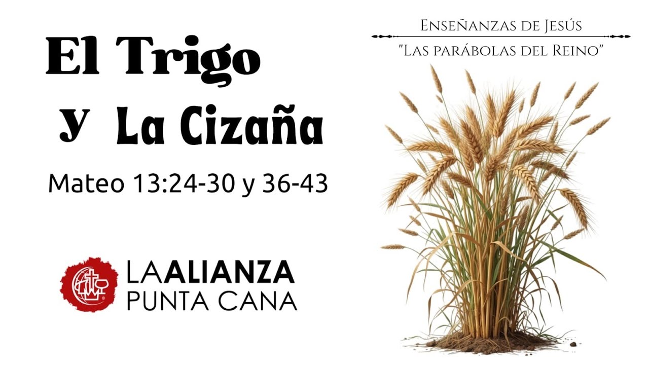El Trigo y la Cizaña | Pastor Elvin Rosario