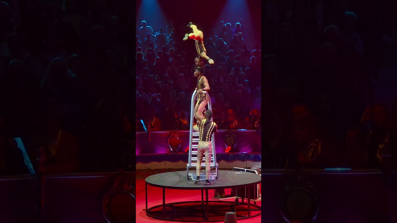 Hakuna Matata - Bronze Clown - 48th International Circus Festival of Monte-Carlo, 2026