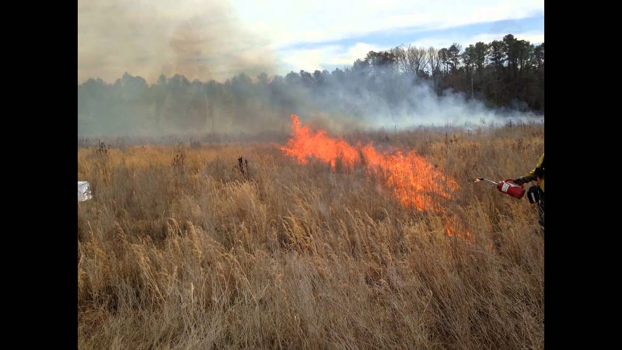 Fire  Shelter Deployment Demonstration Preview
