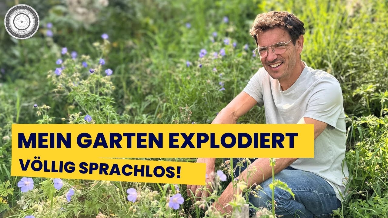 HIGHLIGHTS + BLÜTE im August! Ich bin überrascht!