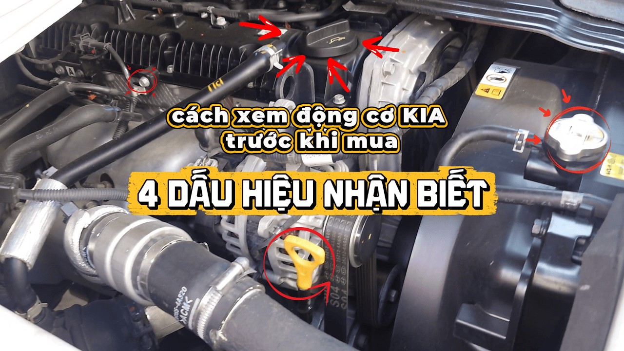 XE TẢI CŨ KIA | Hướng Dẫn Kiểm Tra Động Cơ Trước Khi Mua Xe Cũ | XE TẢI TRƯỜNG LỘC