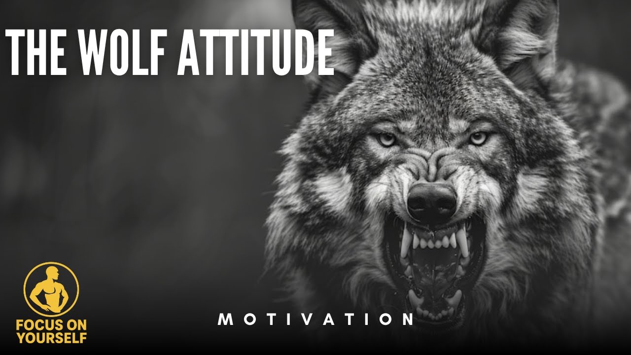 THE WOLF ATTITUDE - focus on yourself