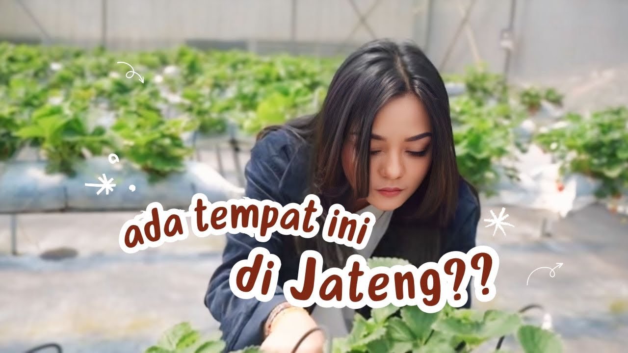 PURBALINGGA 🥹