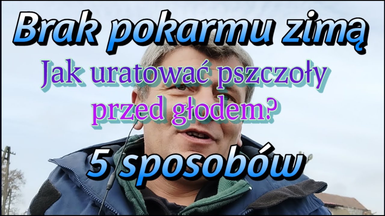 Brak pokarmu zimowego!!! Jak podać pokarm pszczołom zimą?