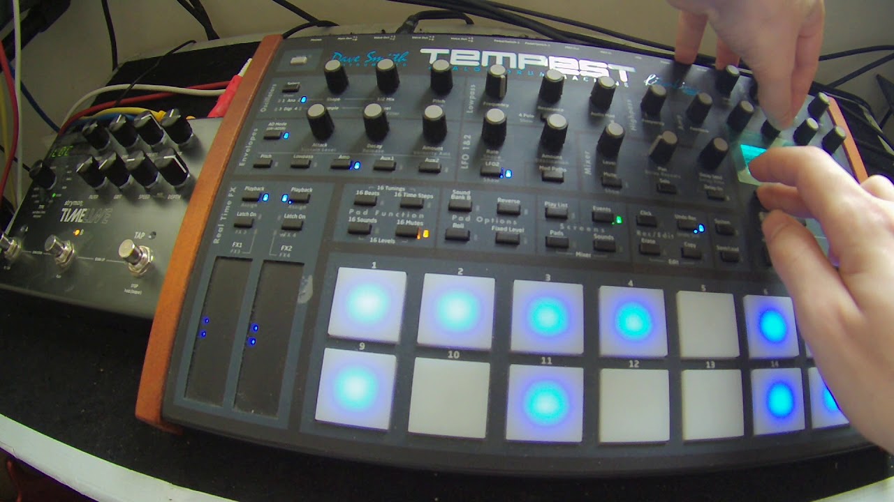 DSI Tempest & Strymon Timeline