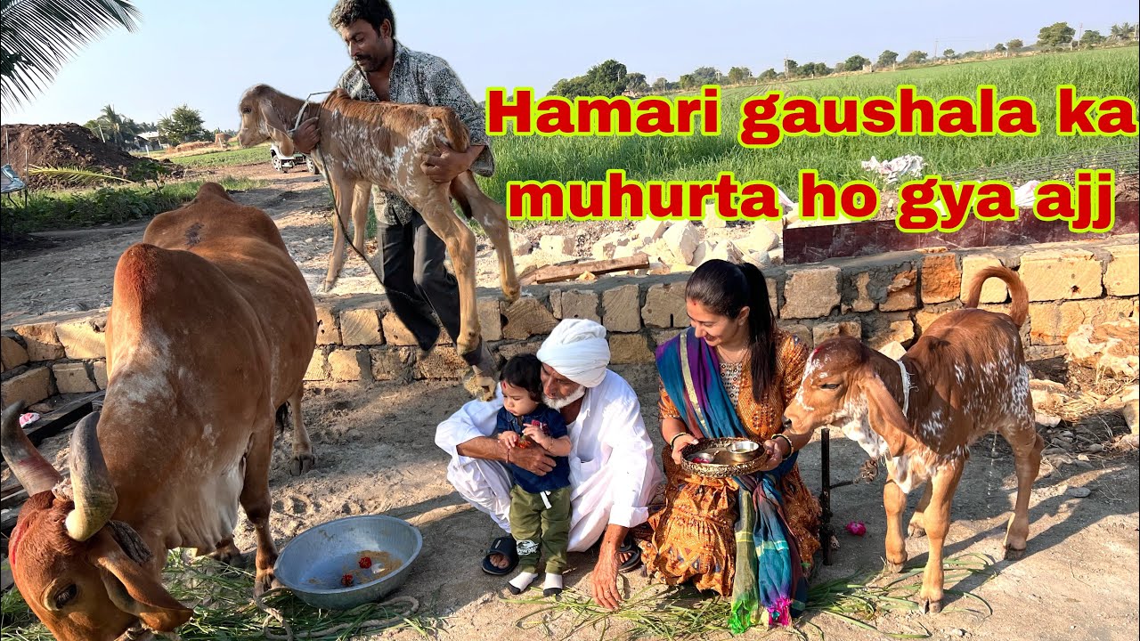 Gaushala ka opening शुभ मुहूर्त ajj hi kyu kar diya / gaye kaha rahegi ??