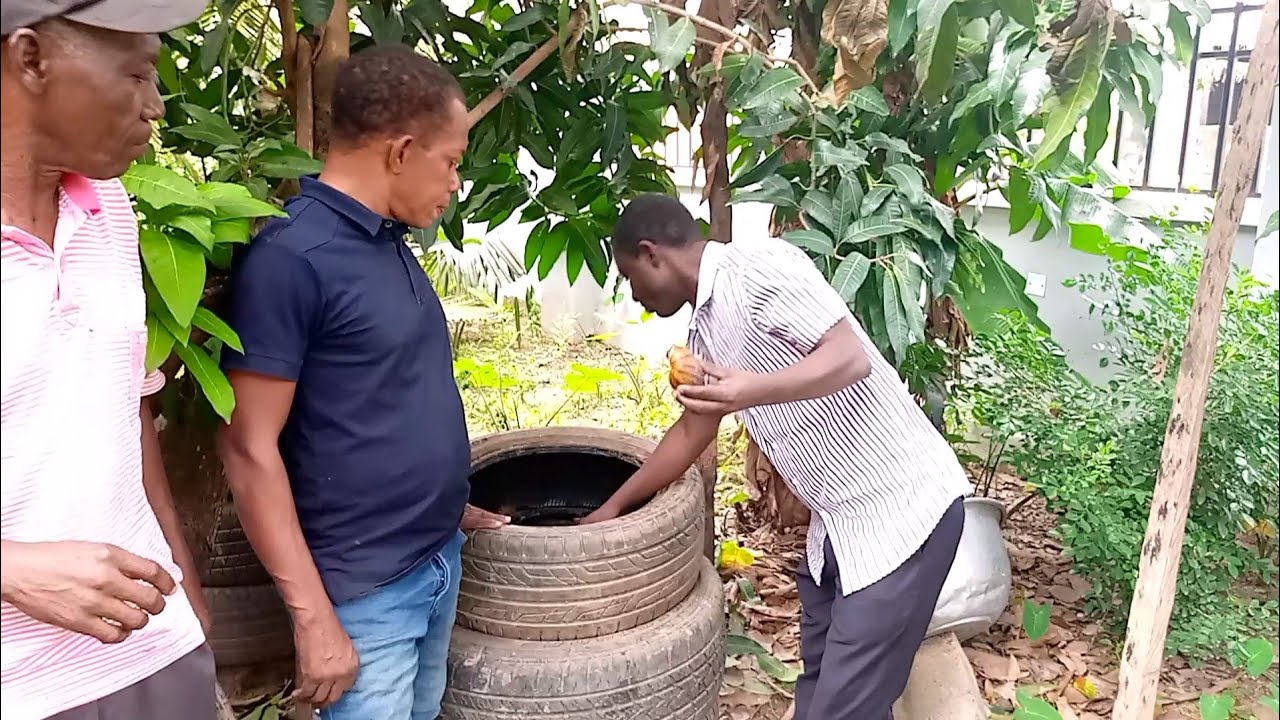 Snail rearing for Beginners Part 1 (Using Car Tyres)