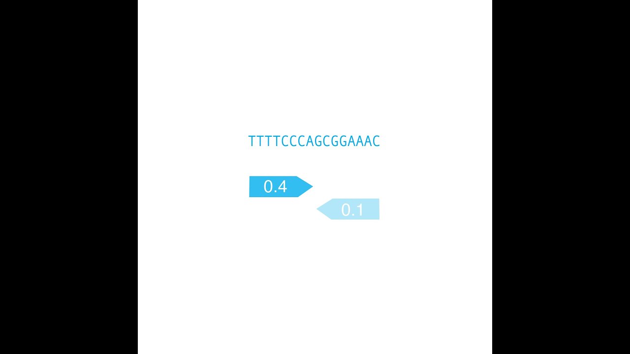 TF Sites #3: Visualize Sites on Enhancer Sequence