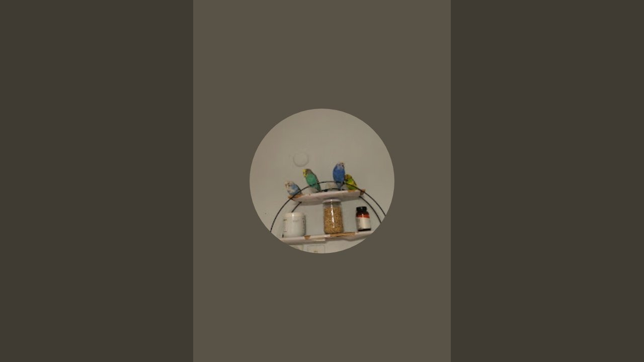 Sahur Yayını 4.Gün