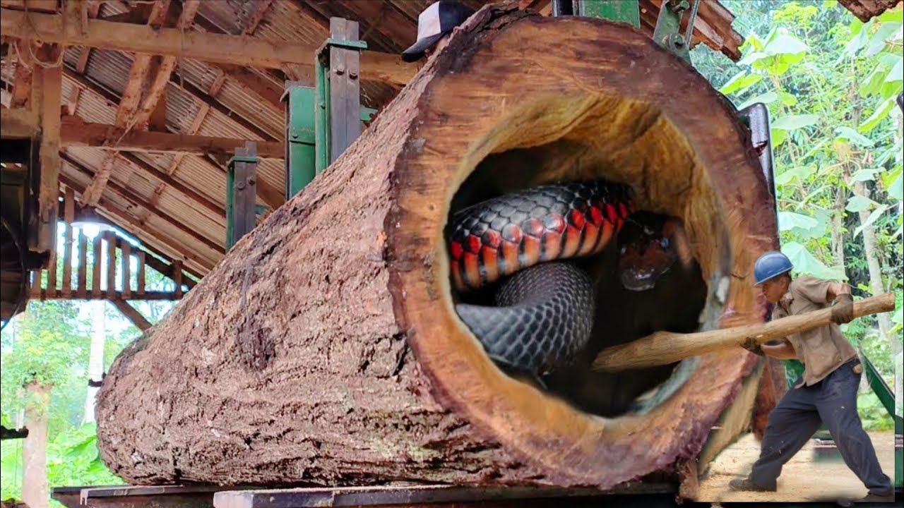 Bringing hardwood into the sawmill || Sawing makes the blocks of the royal doors.