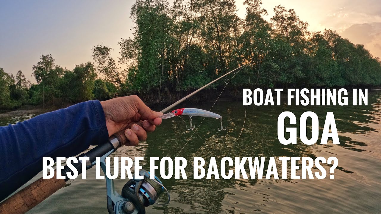 Fishing low tide for mangrove jacks and barra in GOA