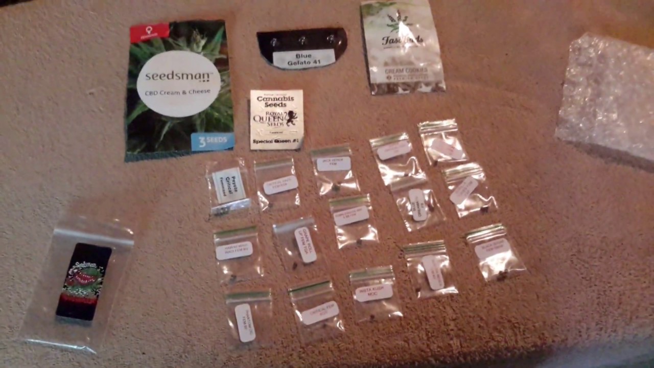 Seedsman unboxing Halloween bundle