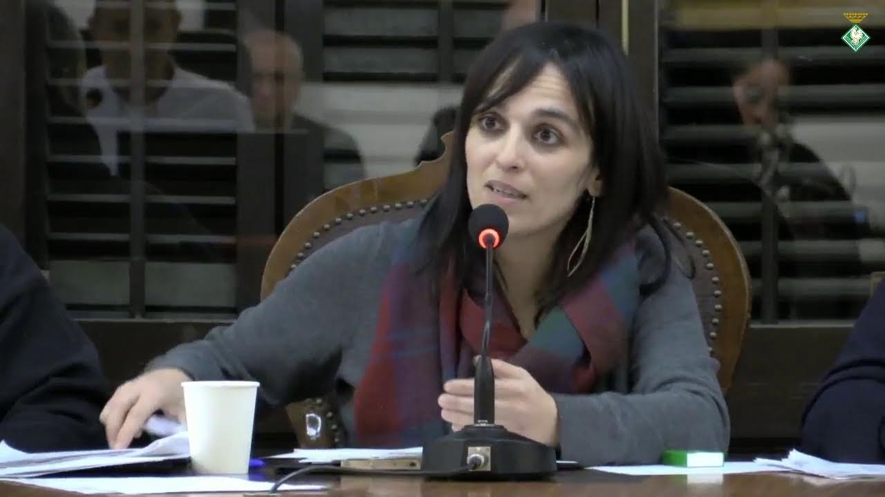 Ple Municipal Ordinari, 25 de novembre de 2025.