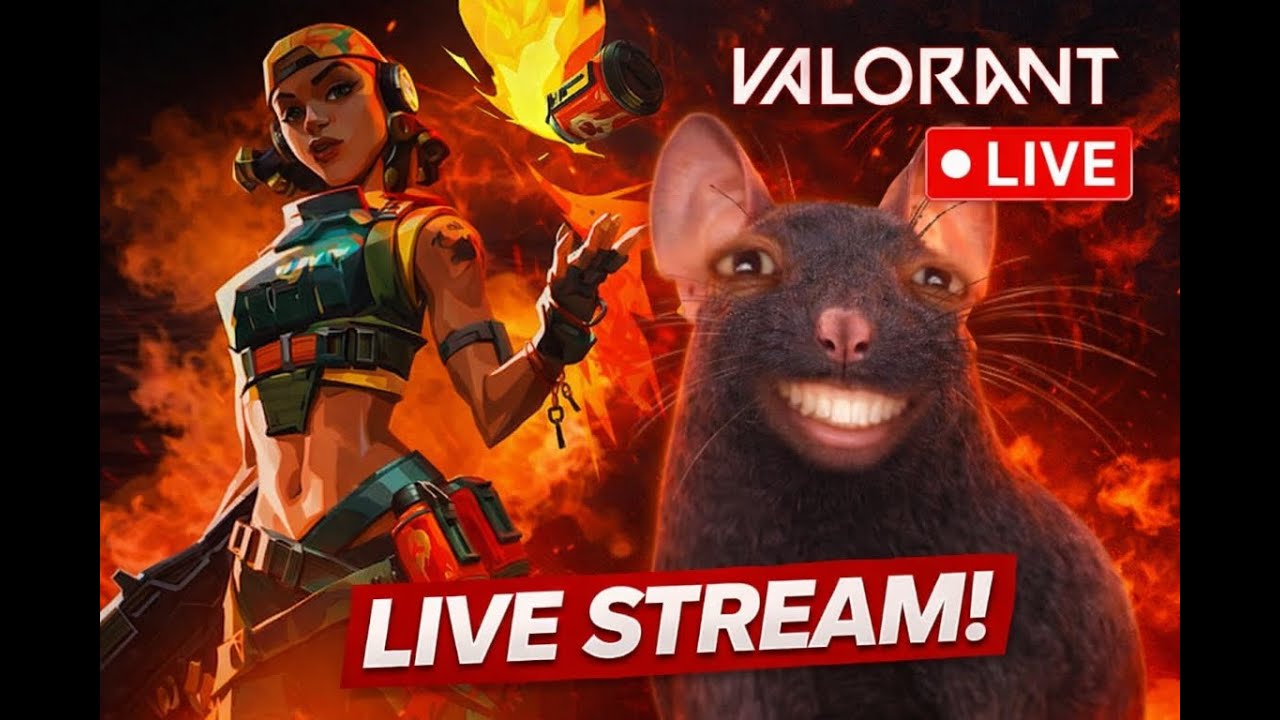 🔴 VALORANT LIVE INDIA 🇮🇳 | Radiant Grind Begins | Competitive Ranked