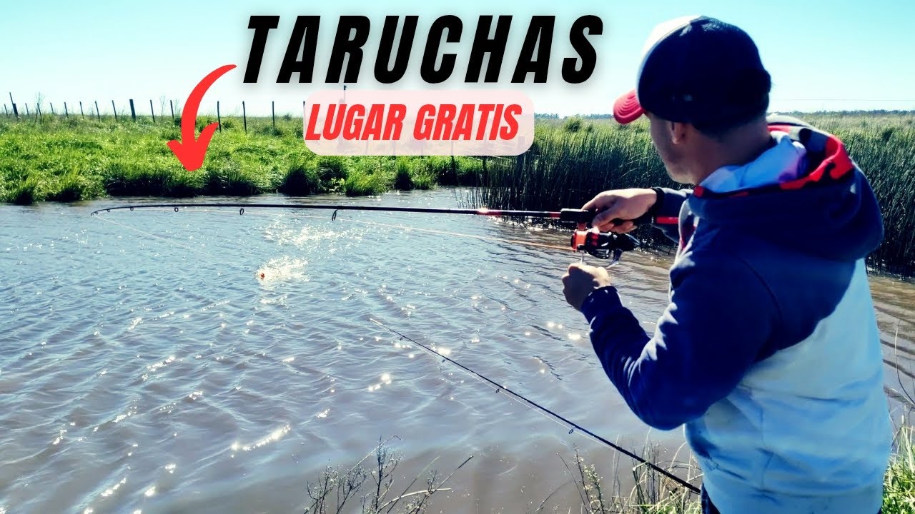 ENCONTRAMOS UN ARROYITO LLENO DE TARUCHAS Y BAGRES, lo conocías?