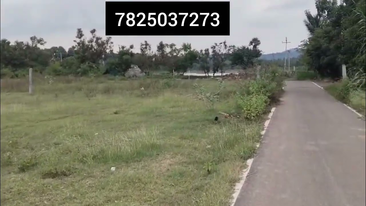 35 cent agriculture land for sale in Salem veeranam near panchayat road 