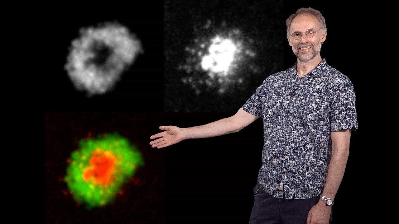 Michael Dustin (Oxford, NYU School of Medicine) 2: The Immunological Synapse: Signaling and Function