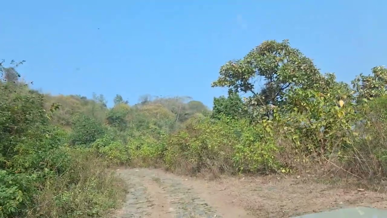 Jeep ride through sholayur forest 
