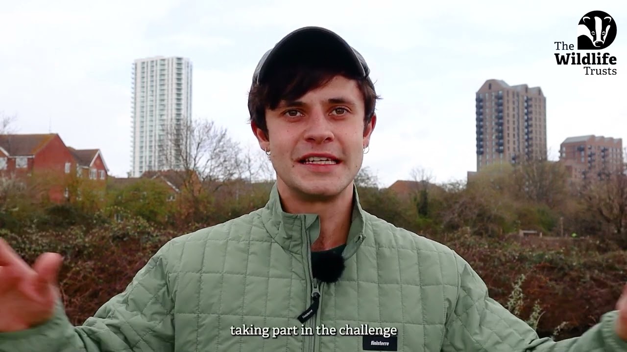Cel Spellman #30dayswild