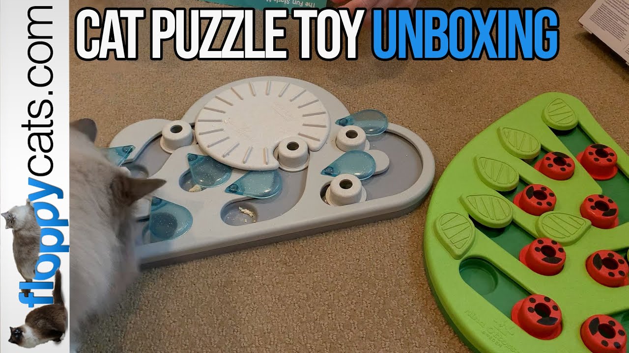 3 Interactive Cat Treat Puzzle Toys: Petstages Nina Ottosson Unboxing with Ragdoll Cats